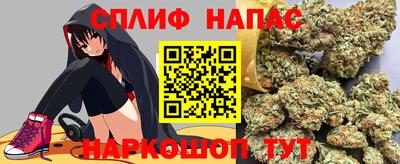 apvp Обь