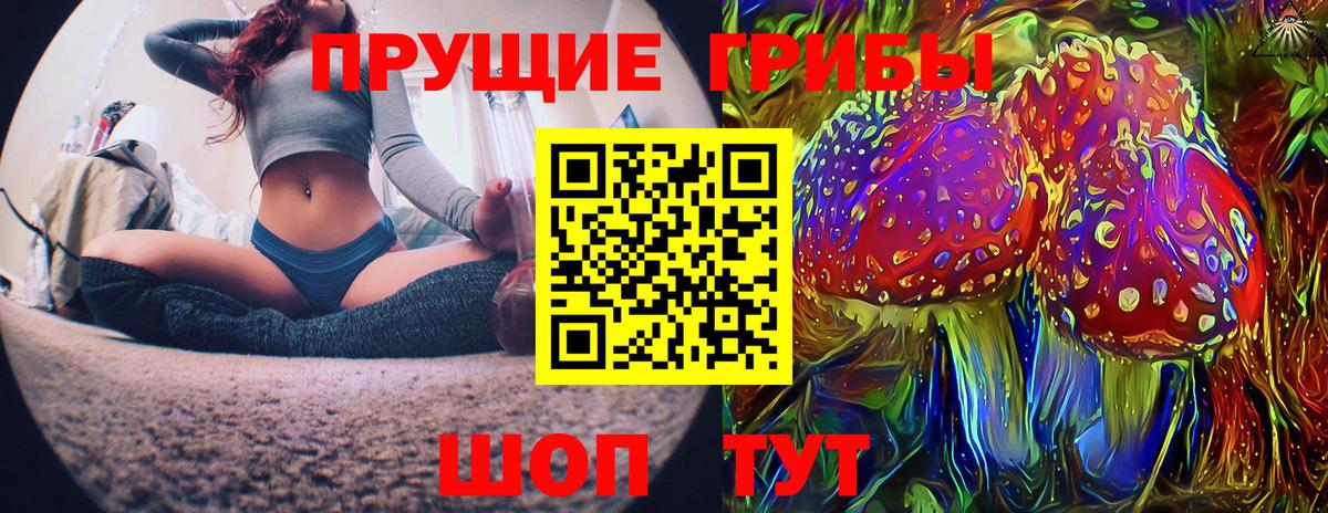 Галлюциногенные грибы Psilocybe Рубцовск
