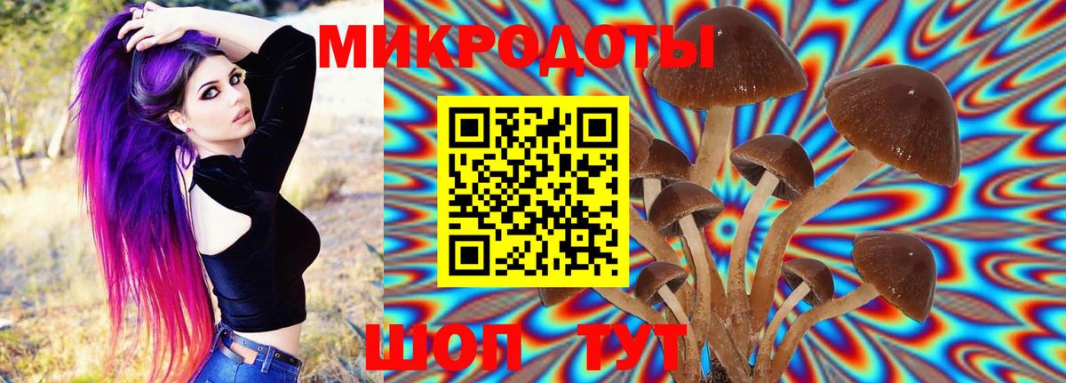 Рубцовск  цена наркотик  Вход с VPN  Галлюциногенные грибы мицелий  Галлюциногенные грибы Cubensis 